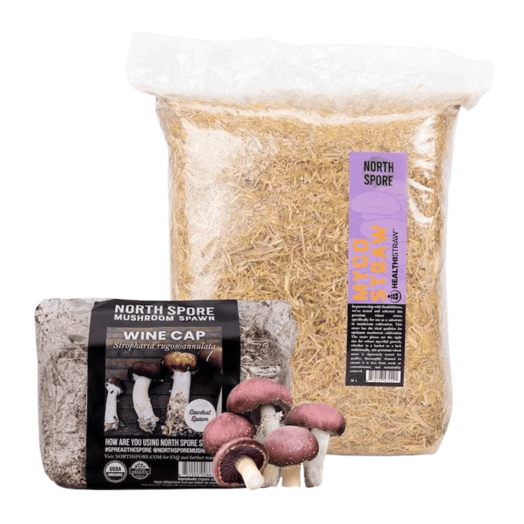 All Outdoor Spawn Sale